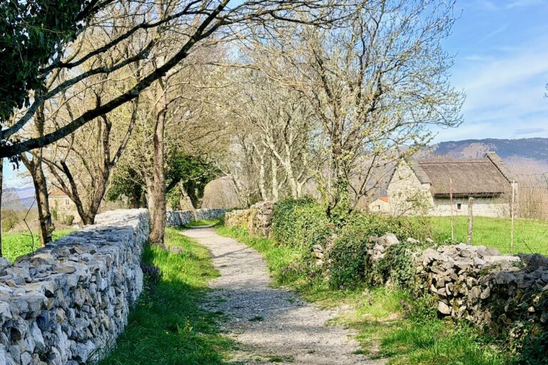 Stari in obnovljeni suhozid, Škocjan