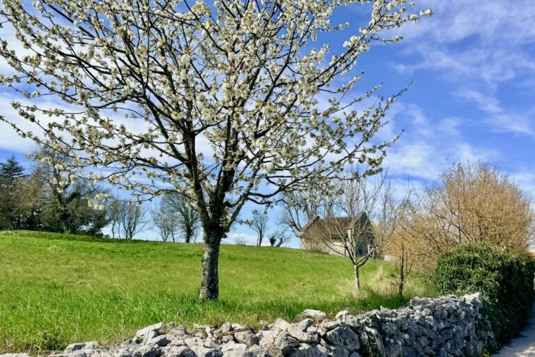 Suhozid in kamnita hišica, Škocjan
